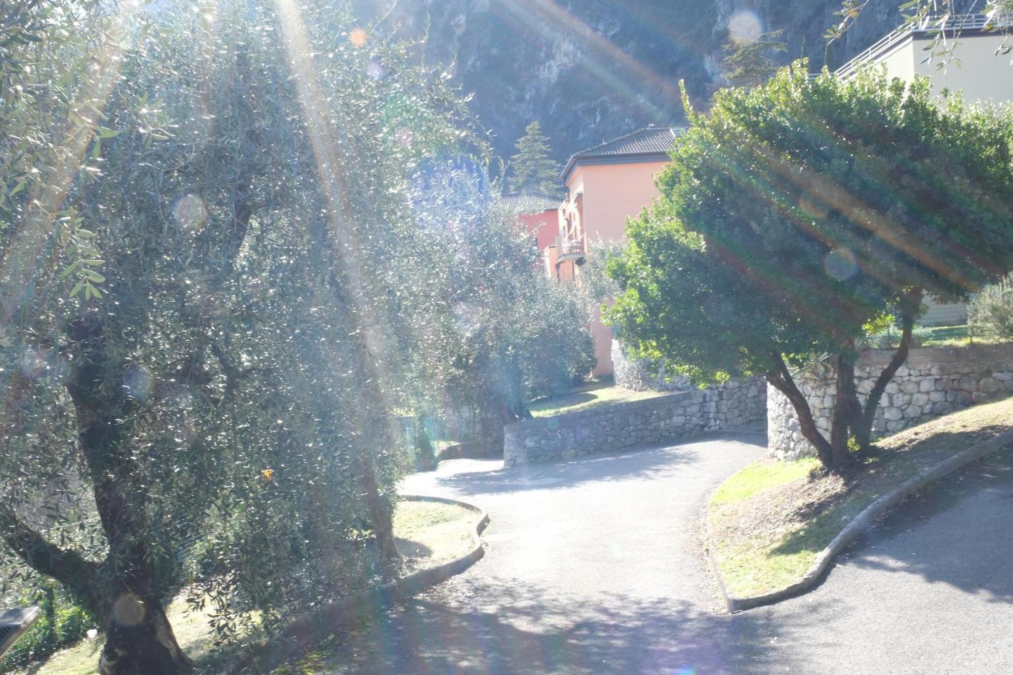 Casa Segantini - Panorama Pool Apartment Gavazzo Nuova 外观 照片