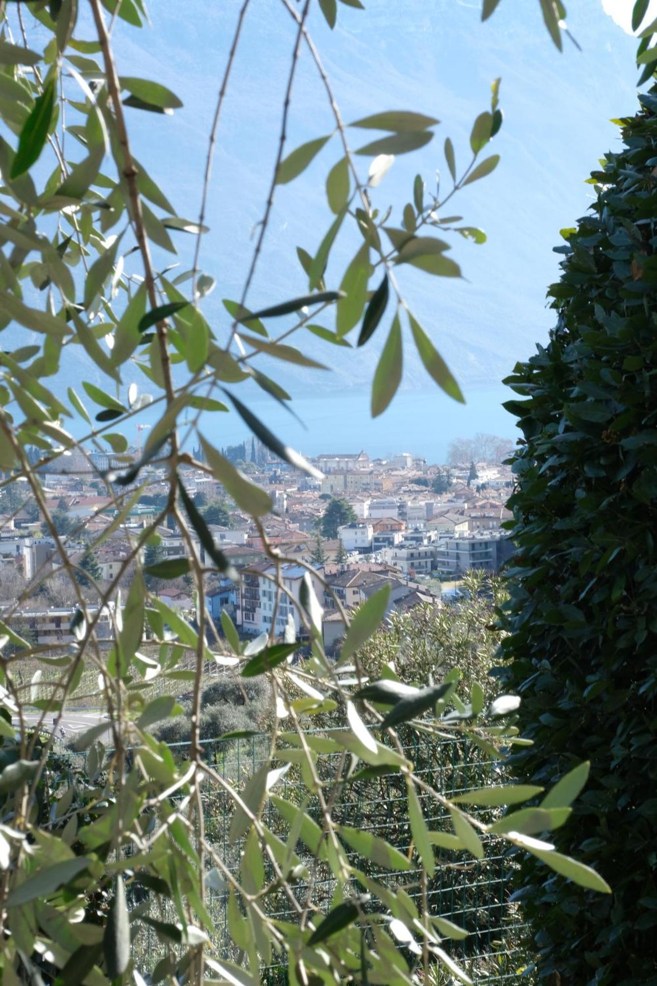 Casa Segantini - Panorama Pool Apartment Gavazzo Nuova 外观 照片
