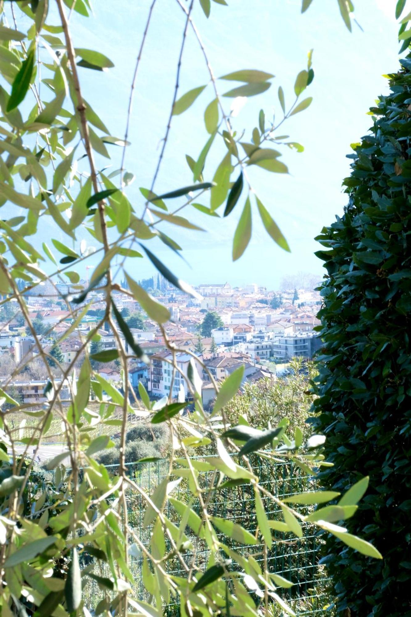Casa Segantini - Panorama Pool Apartment Gavazzo Nuova 外观 照片