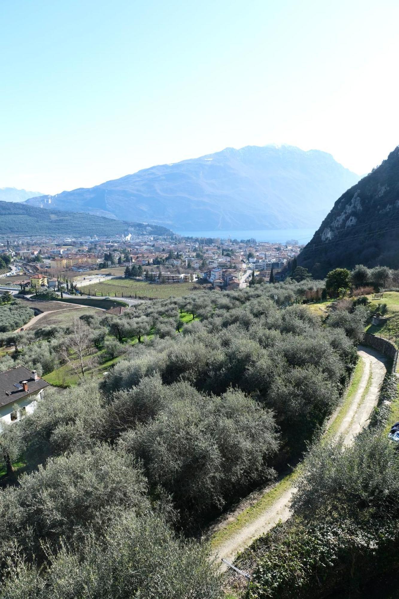 Casa Segantini - Panorama Pool Apartment Gavazzo Nuova 外观 照片