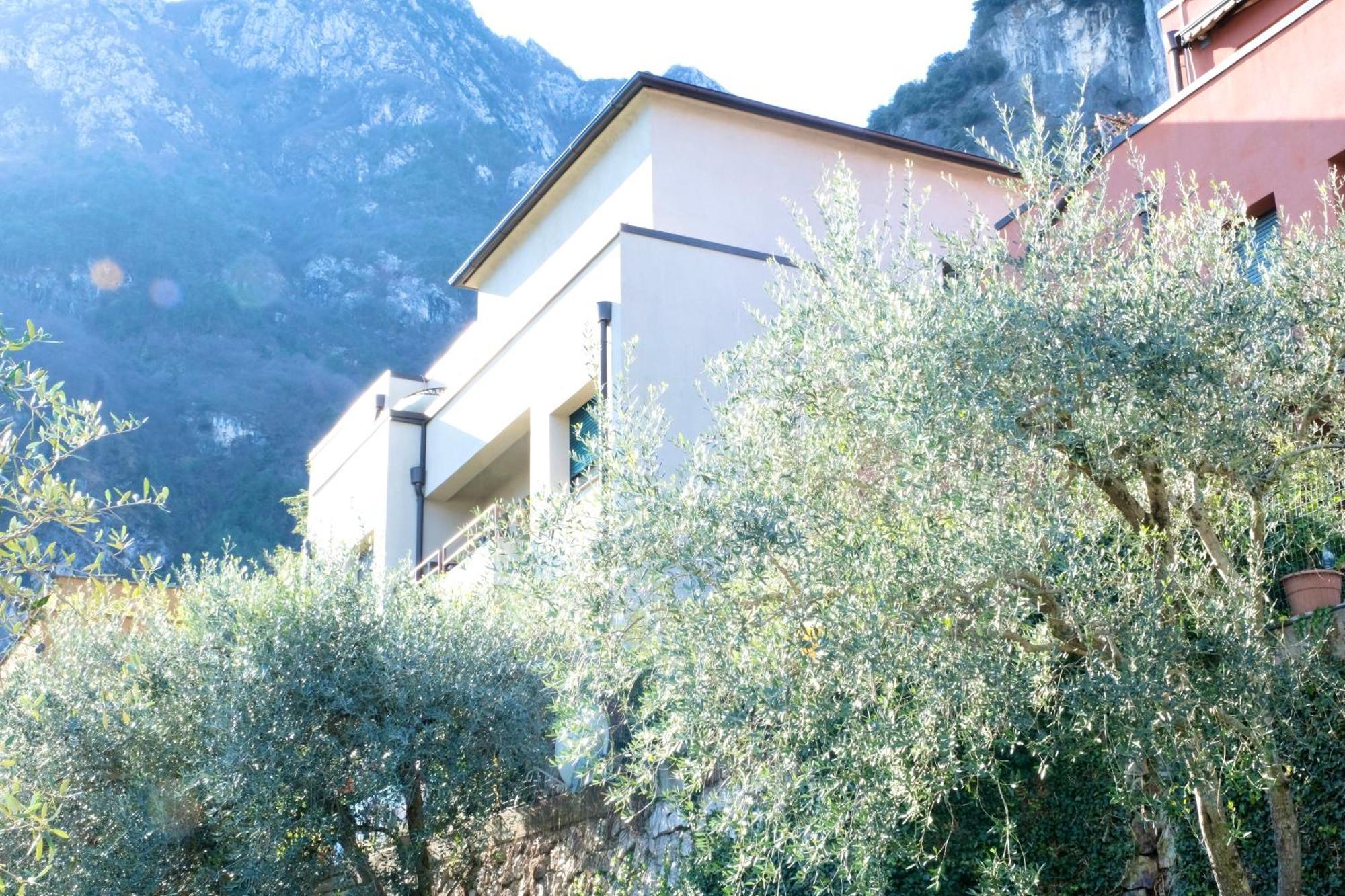 Casa Segantini - Panorama Pool Apartment Gavazzo Nuova 外观 照片
